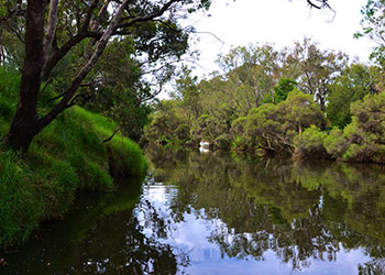 Murray River